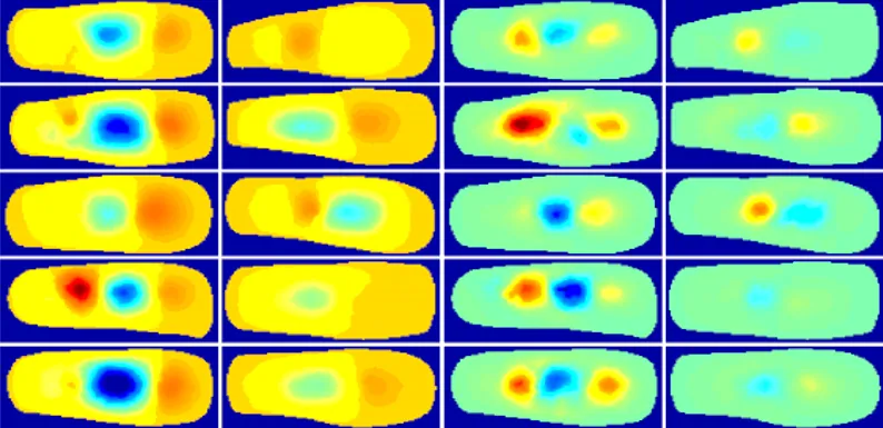 Absorption and scattering coronal cross sections of PIP joints