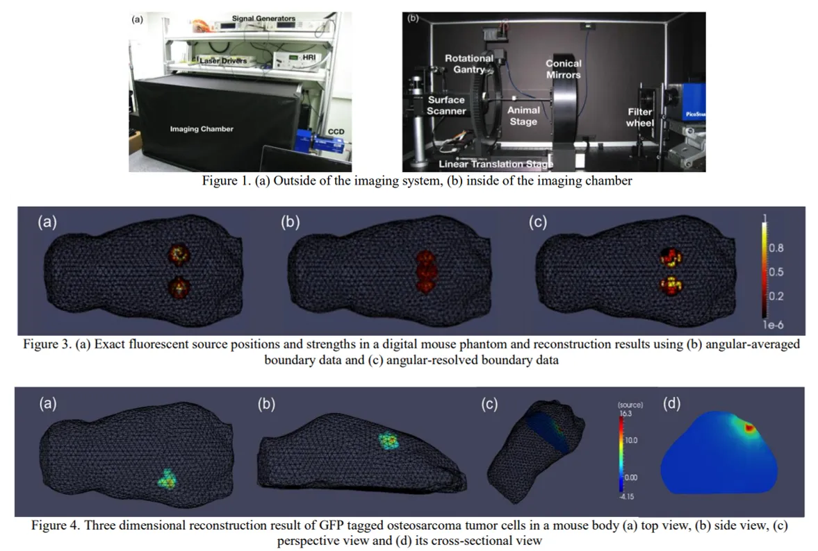 Small animal imaging system
